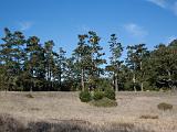 Point Reyes 009